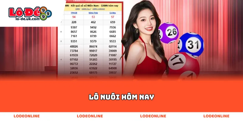 Lô nuôi hôm nay